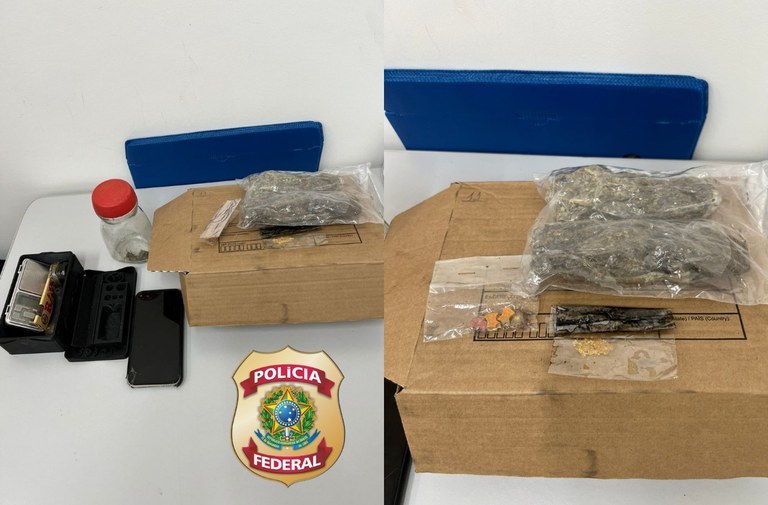Polícia Federal apreende pacote com drogas enviado pelos Correios em Picos