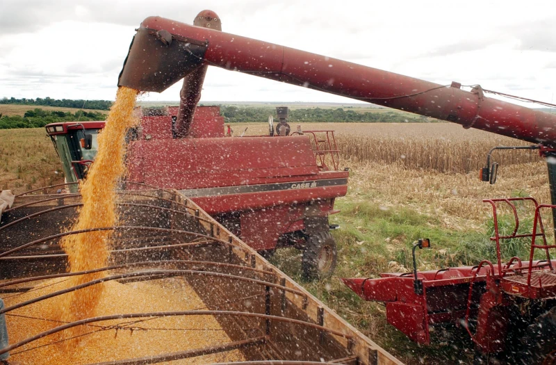 Dois municípios piauienses estão entre os 100 mais ricos do agro em 2023