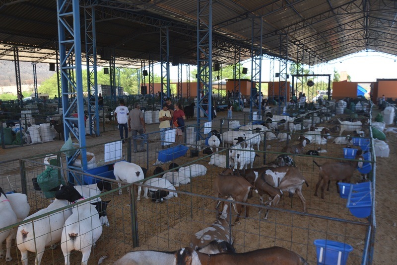 XV Expocaboclos 2025 impulsiona economia e movimenta milhões em Caldeirão Grande do Piauí