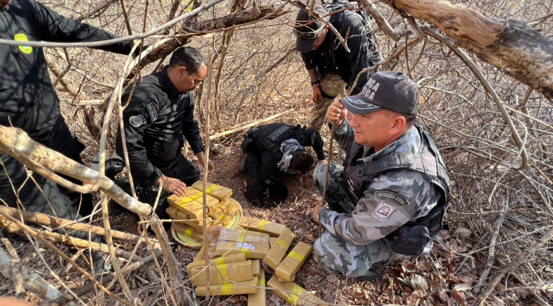 Cerca de 300 kg de drogas são apreendidos em tambores enterrados no Piauí