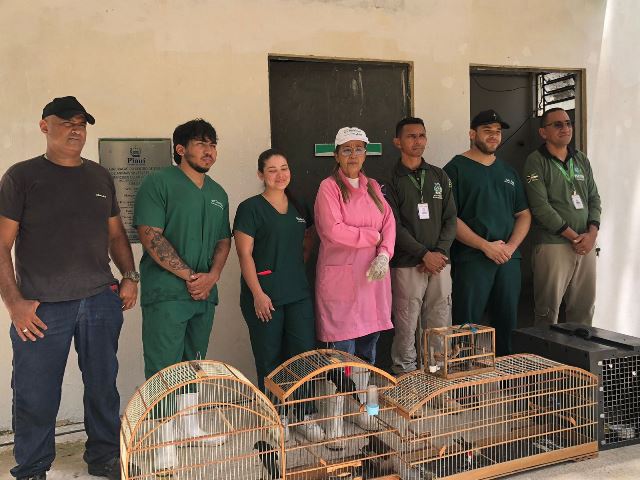 Secretaria de Meio Ambiente de Picos resgata macaco-prego e aves mantidos em cativeiro irregular