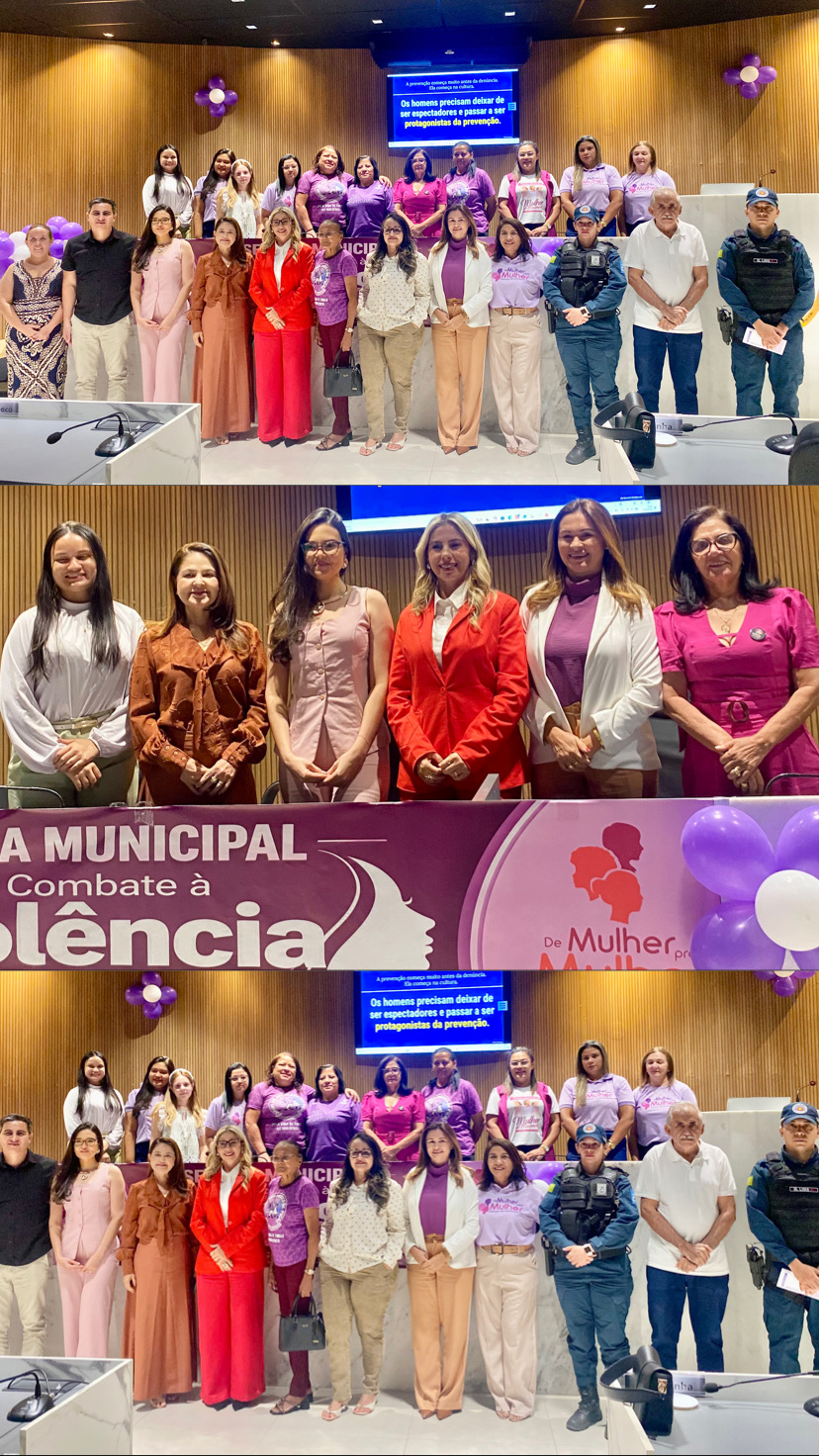 Câmara de Vereadores de Picos inicia Semana Municipal de Combate à Violência Contra a Mulher